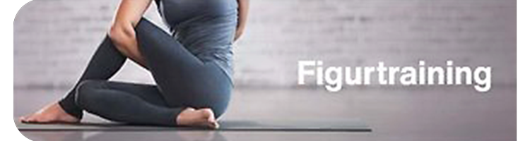 E-Gym Figurtraining