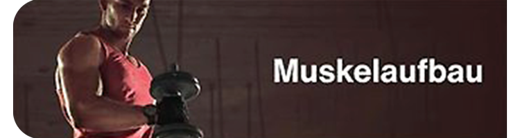 E-Gym Muskelaufbau