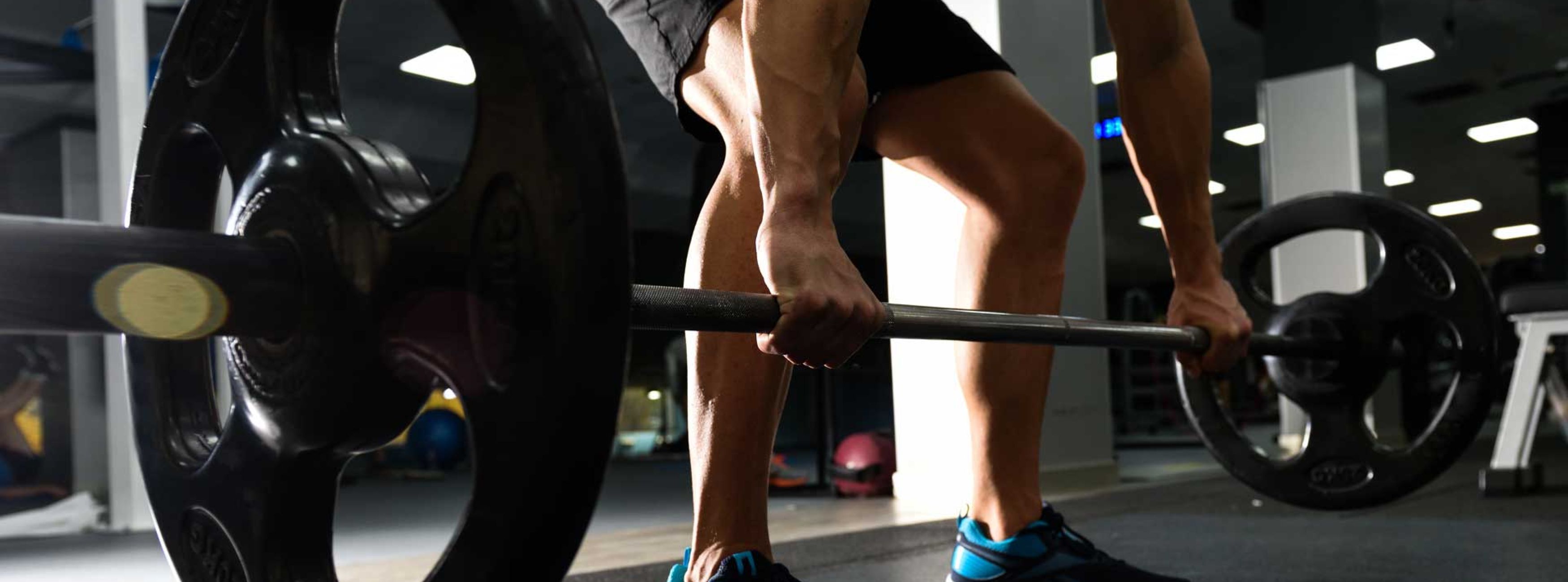 Mein SPORTPUNKT - Kraft